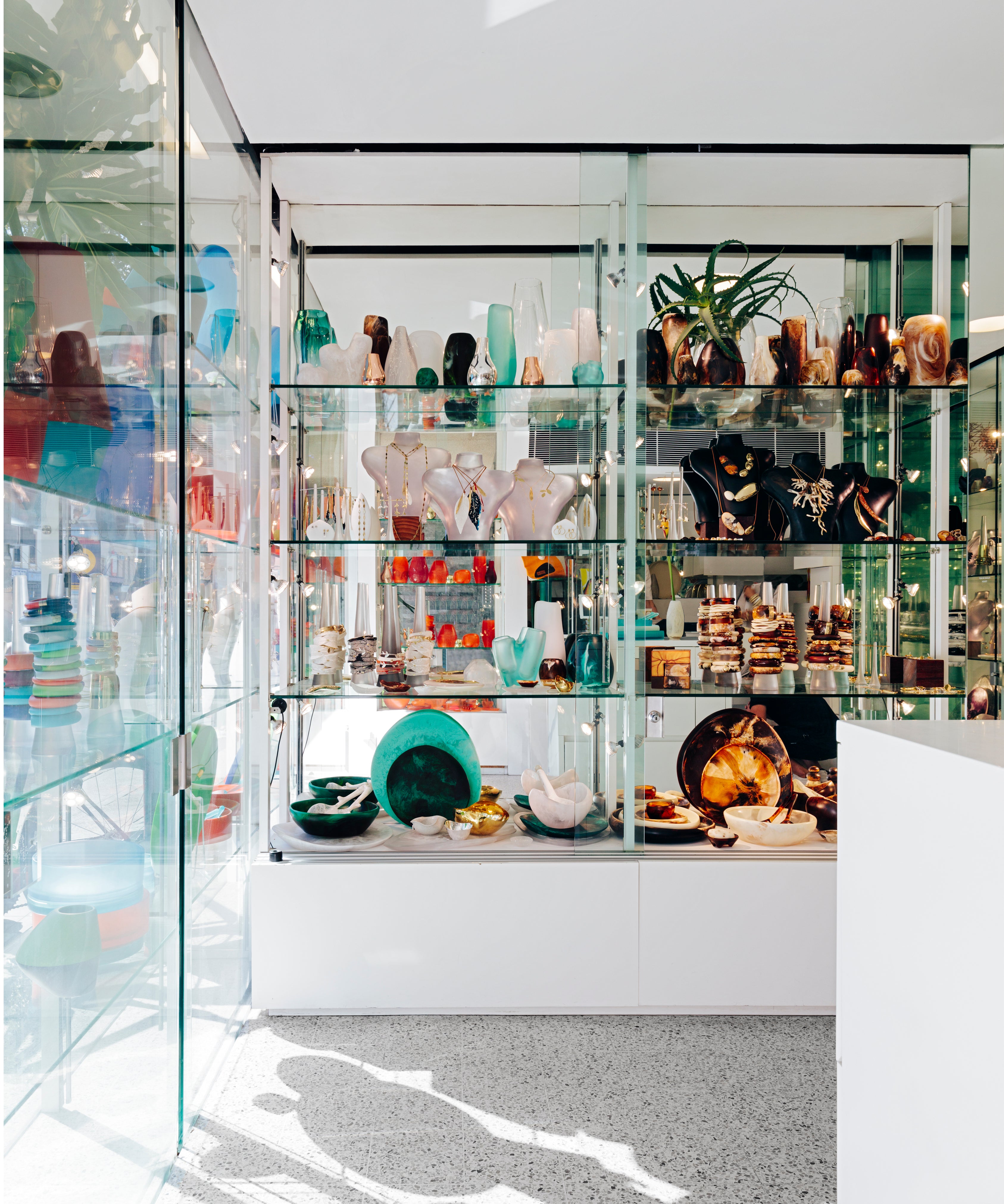 DINOSAUR-DESIGNS-PADDINGTON-STORE
