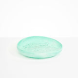 Dinosaur Designs Large Earth Bowl in Mint Colour resin