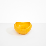Dinosaur Designs Large Beetle Bowl in Honeycomb Colour resin