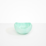 Dinosaur Designs Large Beetle Bowl in Mint Colour resin