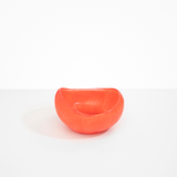 Dinosaur Designs Large Beetle Bowl in Lychee Colour resin