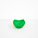 Dinosaur Designs Medium Beetle Bowl in Leaf Colour resin