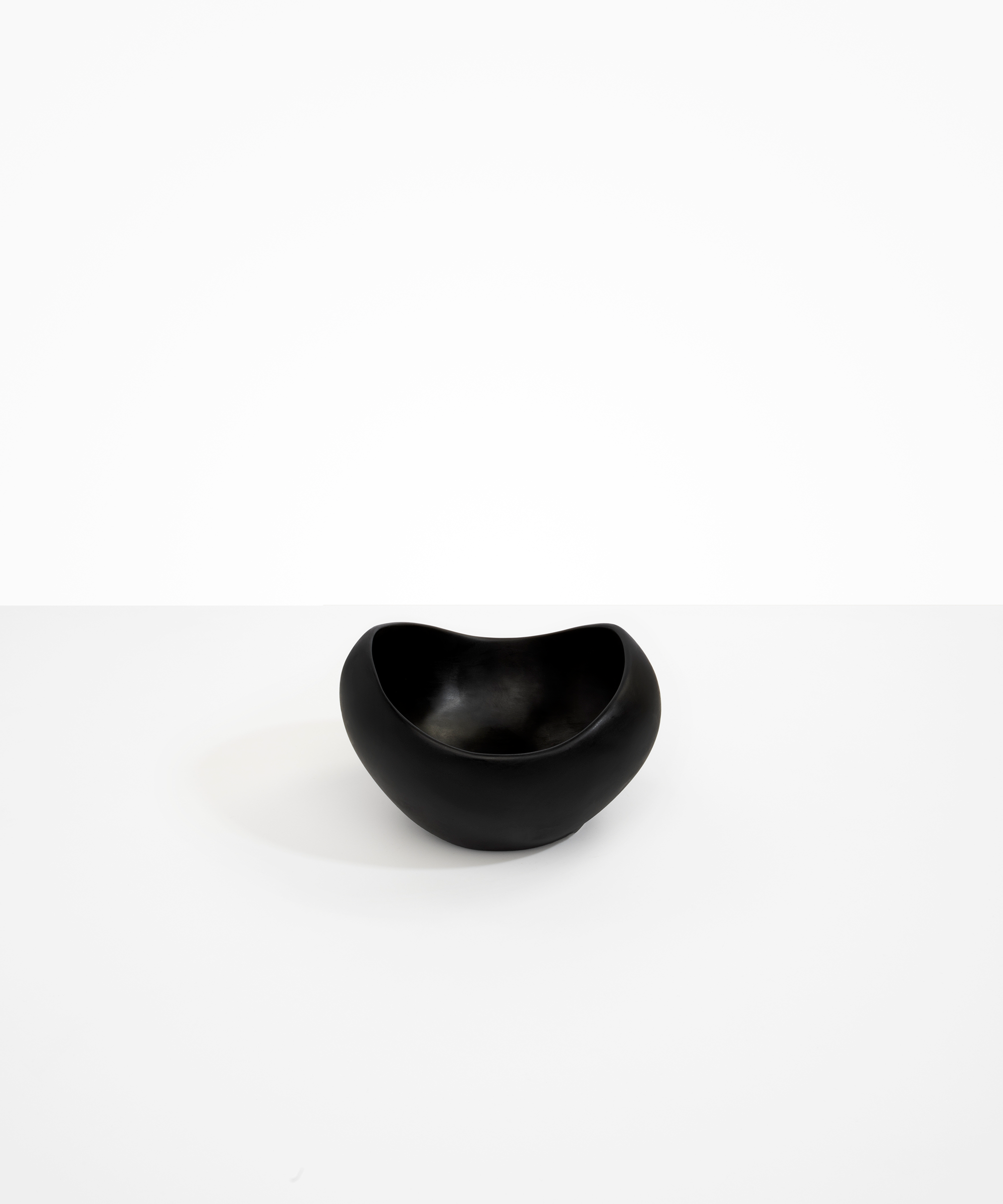 Dinosaur Designs Medium Beetle Bowl in Black Colour resin