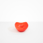 Dinosaur Designs Medium Beetle Bowl in Lychee Colour resin