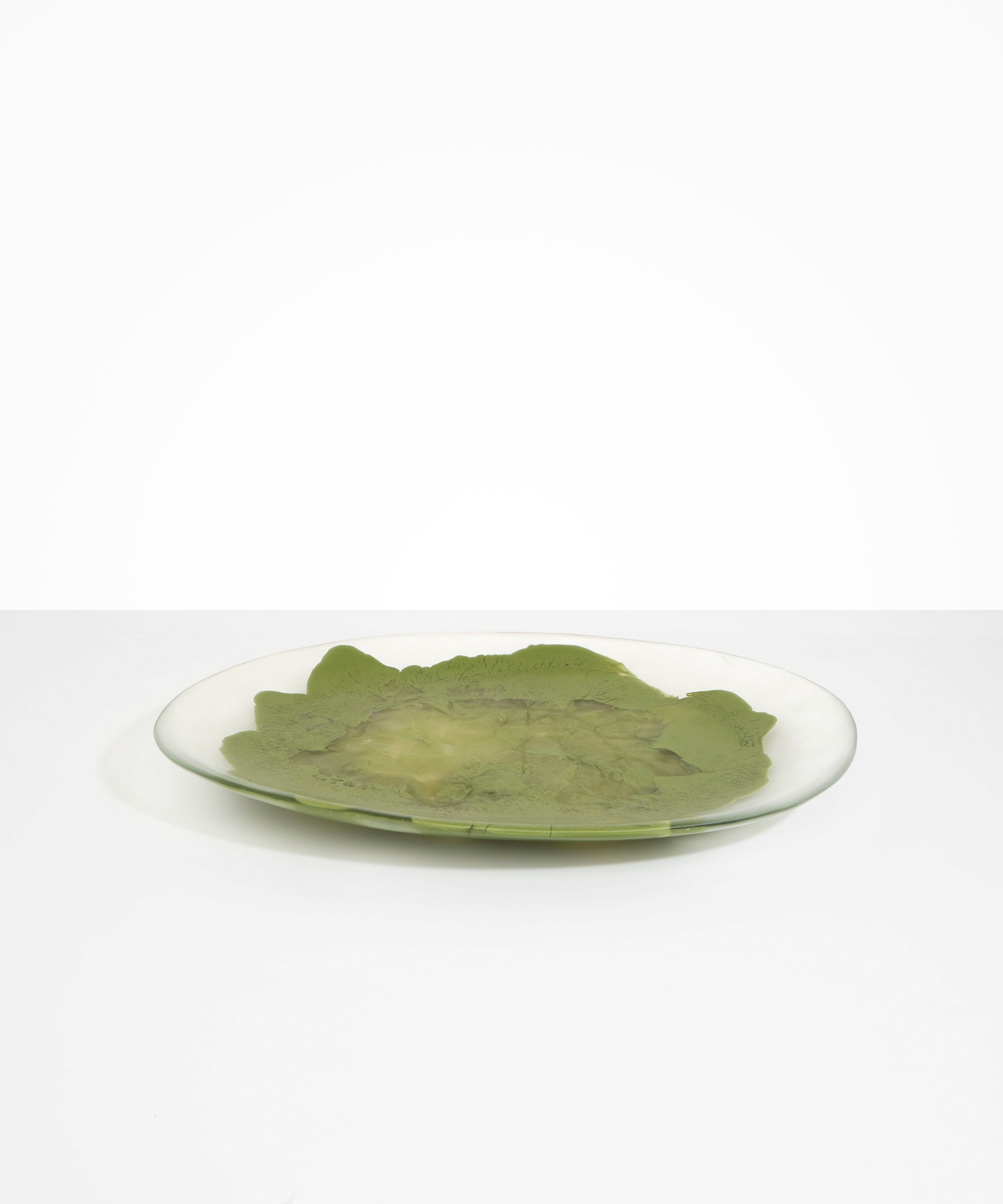 Dinosaur Designs Long Temple Platter in Olive Colour resin