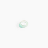Dinosaur Designs Slate Ring in Mint Colour resin with Regular Fit