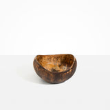 Dinosaur Designs Large Beetle Bowl in Dark Horn Colour resin