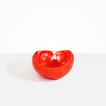 Dinosaur Designs Large Beetle Bowl in Poppy Colour resin