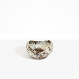 Dinosaur Designs Medium Beetle Bowl in Cappuccino Colour resin