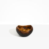 Dinosaur Designs Medium Beetle Bowl in Dark Horn Colour resin