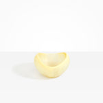 Dinosaur Designs Medium Beetle Bowl in Lemon Colour resin