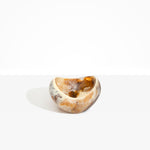 Dinosaur Designs Medium Beetle Bowl in Light Horn Colour resin