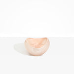Dinosaur Designs Medium Beetle Bowl in Rose Swirl Colour resin