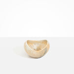 Dinosaur Designs Medium Beetle Bowl in Sandy Pearl Colour resin