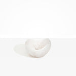 Dinosaur Designs Medium Beetle Bowl in Snow Swirl Colour resin