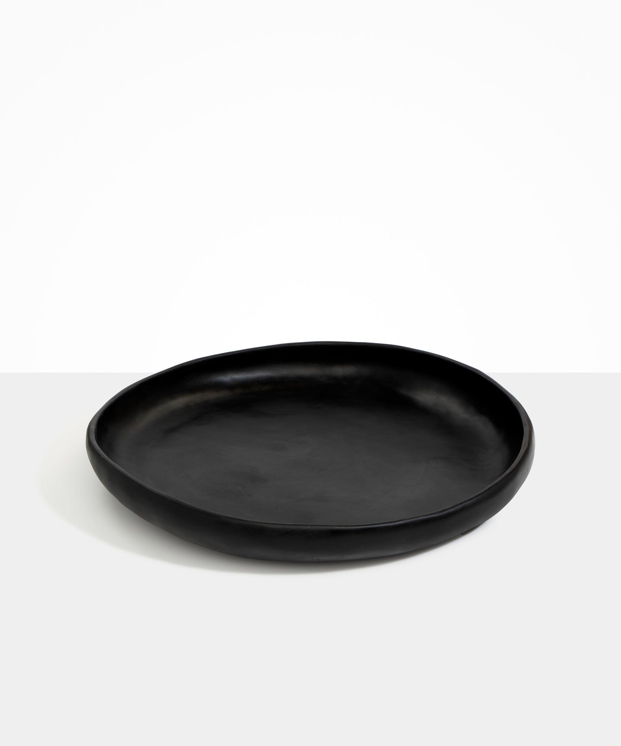 Dinosaur Designs Grand Earth Bowl in Black Colour resin