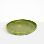 Dinosaur Designs Grand Earth Bowl in Olive Colour resin