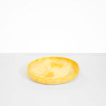 Dinosaur Designs Medium Earth Bowl in Daisy Colour resin