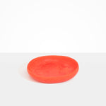 Dinosaur Designs Medium Earth Bowl in Lychee Colour resin