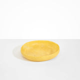 Dinosaur Designs Medium Earth Bowl in Pollen Colour resin