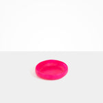 Dinosaur Designs Small Earth Bowl in Flamingo Colour resin