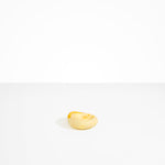 Dinosaur Designs Small Drift Dish in Daisy Colour resin