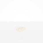 Dinosaur Designs Boulder Coaster in Chalk Swirl Colour resin