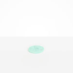 Dinosaur Designs Boulder Coaster in Mint Colour resin