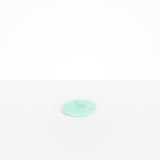 Dinosaur Designs Boulder Coaster in Mint Colour resin