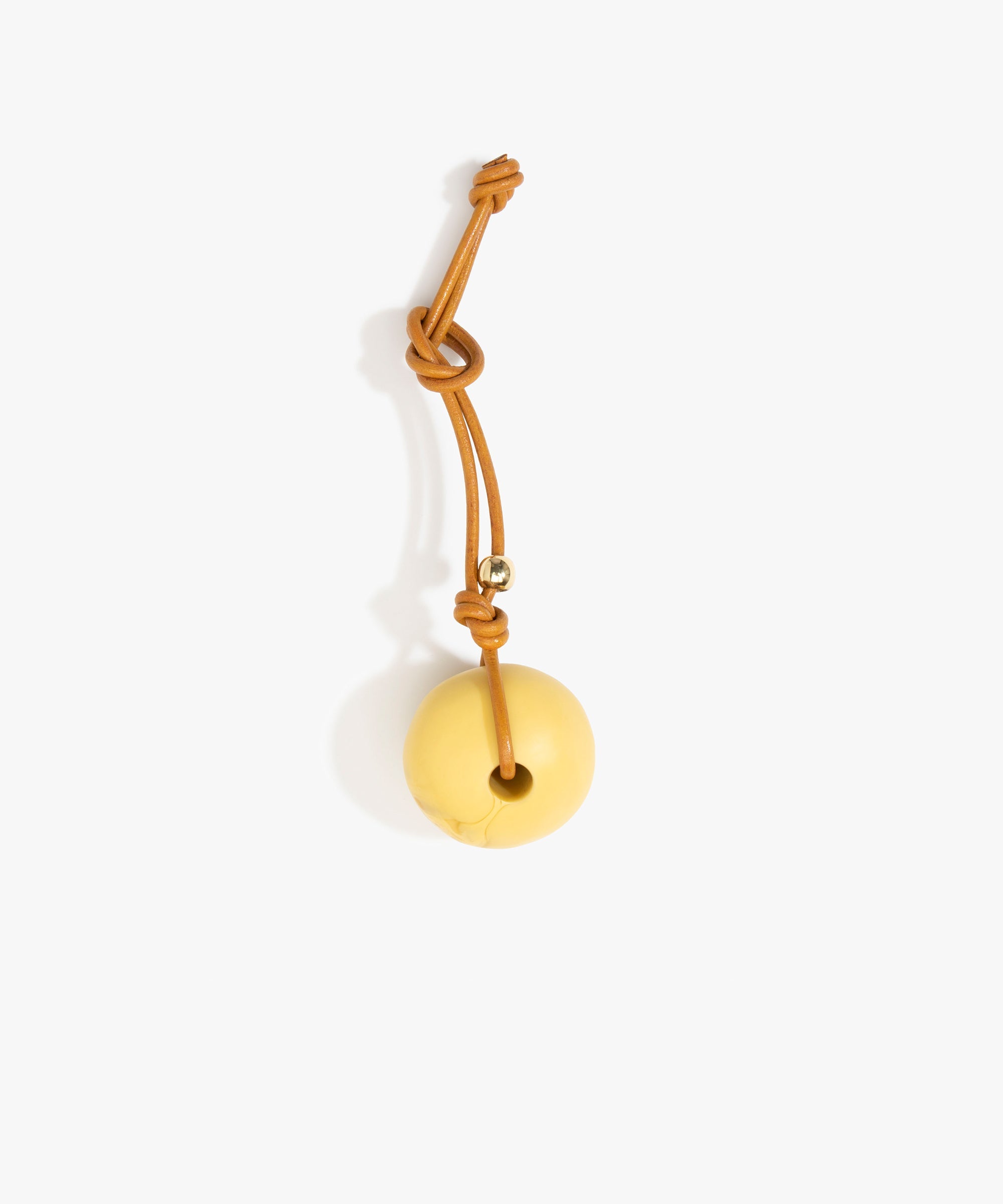 Dinosaur Designs Round Watercolour Bag Charm in Pollen Colour resin with Brass Material
