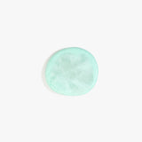 Dinosaur Designs MISTEMCST temple coaster MINT