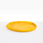 Dinosaur Designs Rock Tray in Honeycomb Colour resin