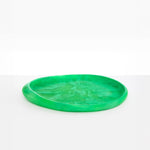 Dinosaur Designs Rock Tray in Leaf Colour resin