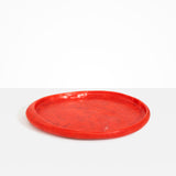 Dinosaur Designs Rock Tray in Poppy Colour resin
