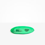 Dinosaur Designs Large Temple Platter in Leaf Colour resin