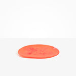 Dinosaur Designs Large Temple Platter in Lychee Colour resin