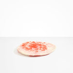 Dinosaur Designs Pebble Plate in Strawberry Colour resin