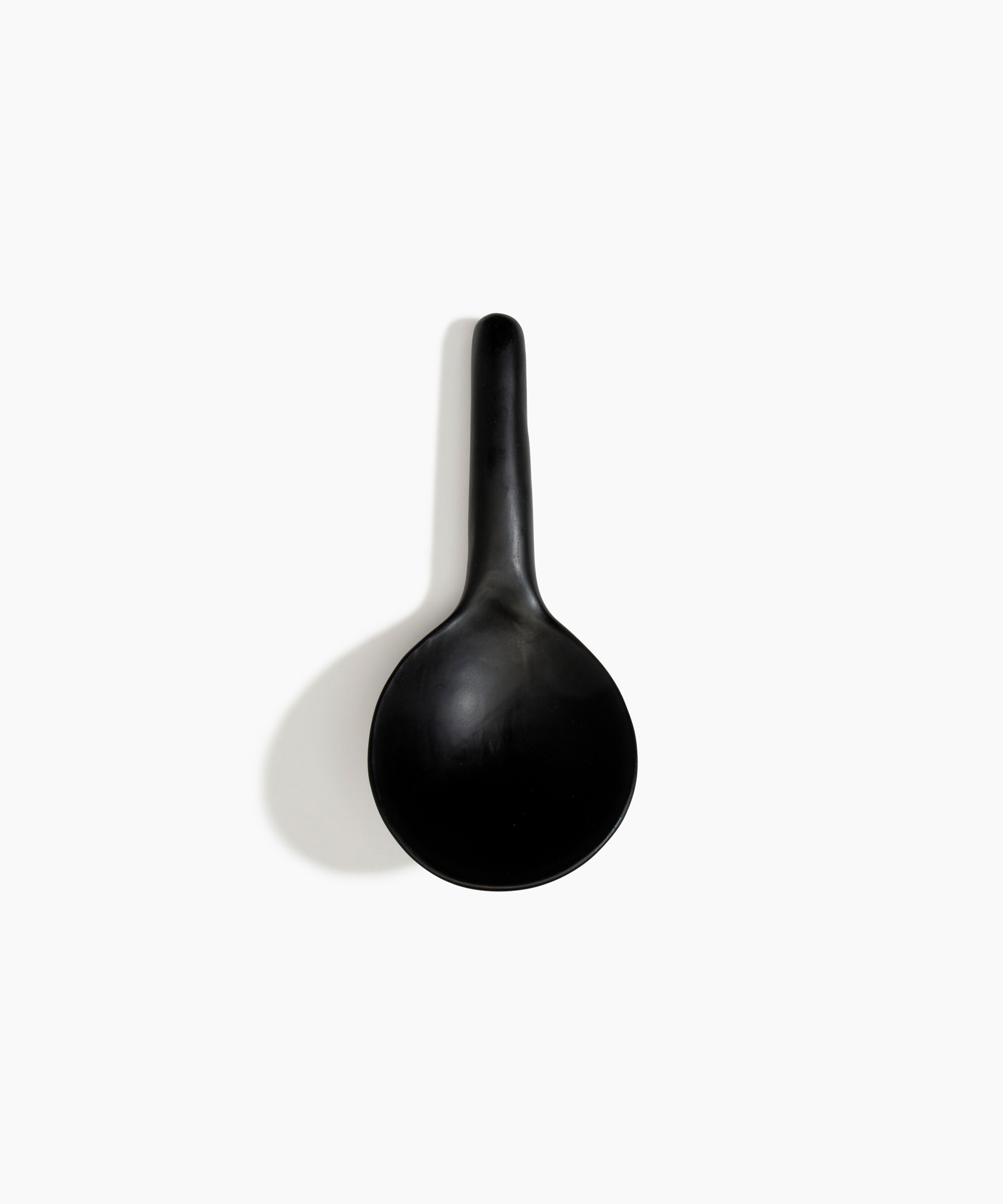 Dinosaur Designs Large Round Spoon in Black Colour resin