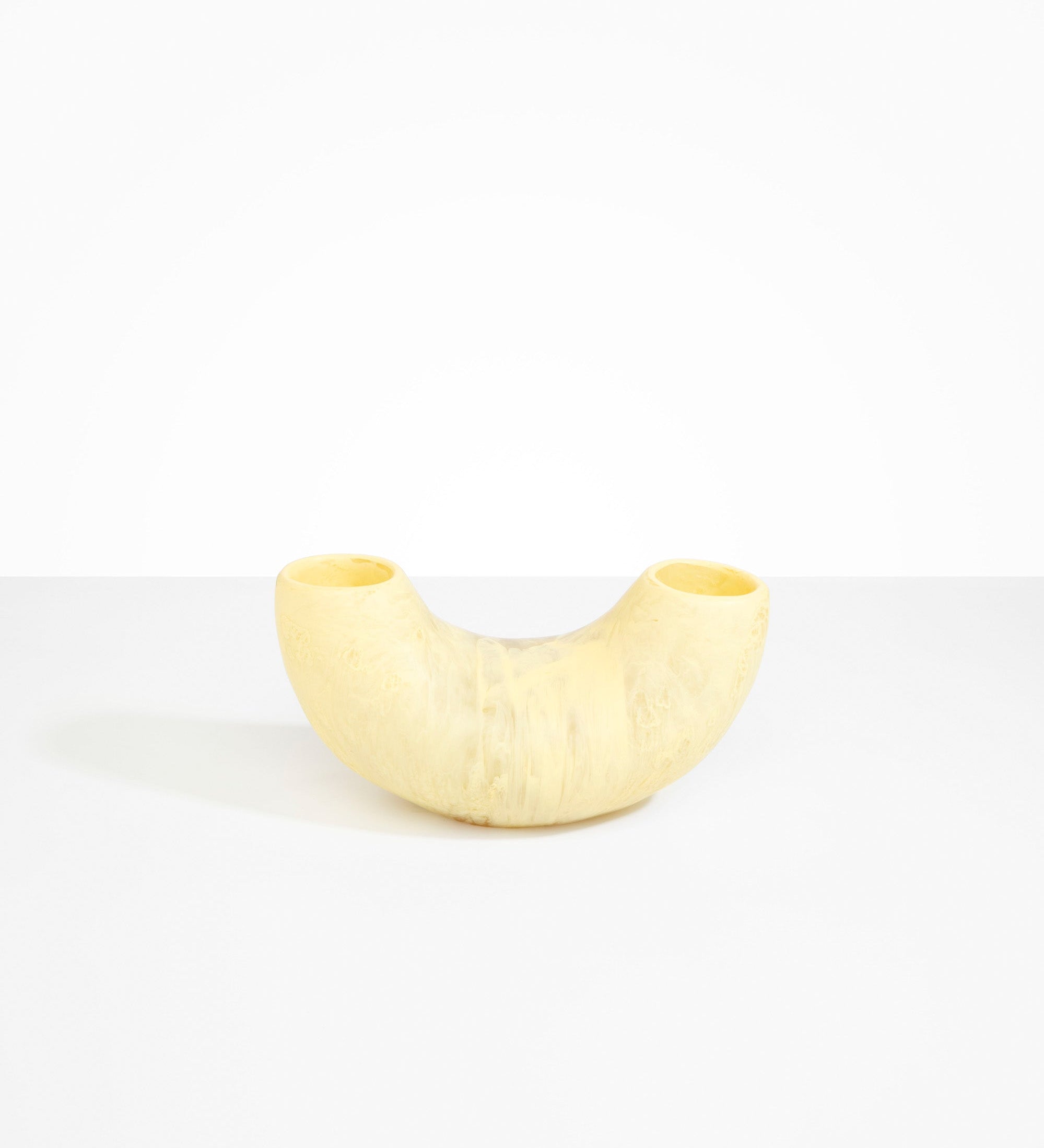 Dinosaur Designs Medium Horn Vase Vases in Lemon Colour resin