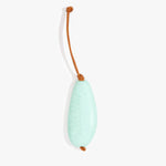 Dinosaur Designs Pebble Keyring Keychains in Mint Colour resin 