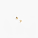 Small Daisy Stud Earrings