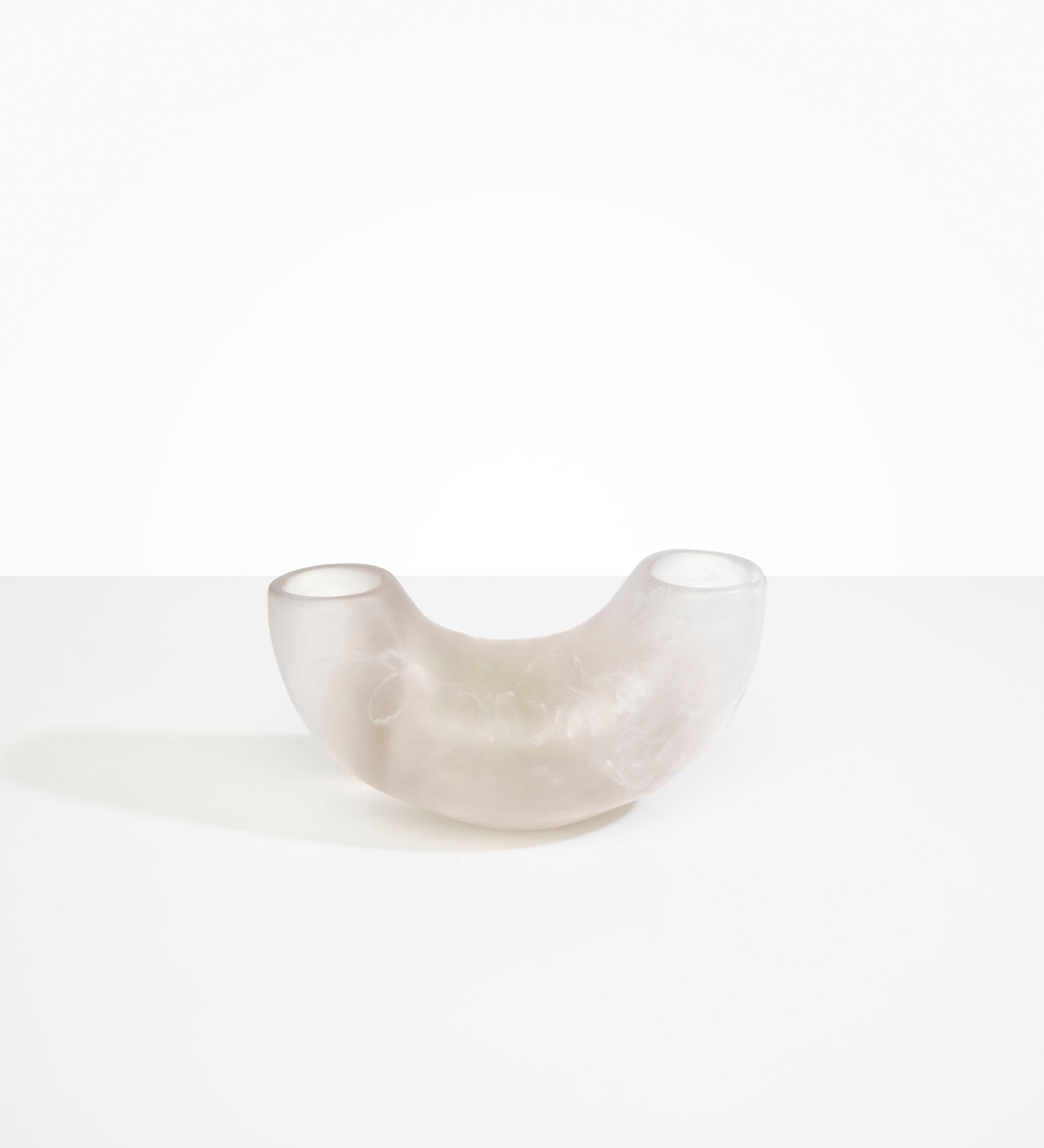 Dinosaur Designs Medium Horn Vase Vases in Frost Colour resin