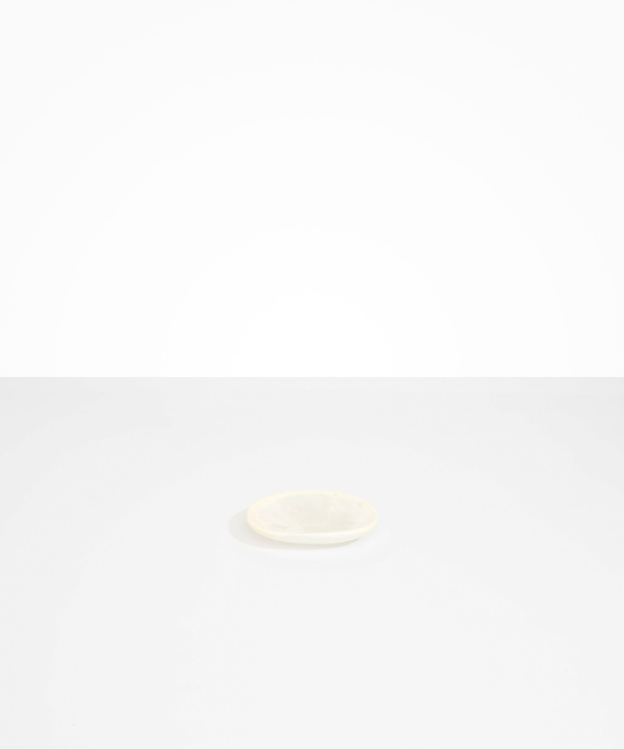 Dinosaur Designs Temple Dish in Chalk Swirl Colour resin