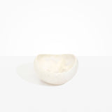 Dinosaur Designs Large Beetle Bowl in Chalk Swirl Colour resin