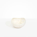 Dinosaur Designs Large Beetle Bowl in Chalk Swirl Colour resin.