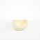Dinosaur Designs Large Beetle Bowl in Cream Colour resin.