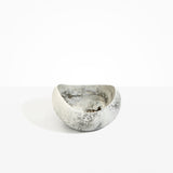 Dinosaur Designs Large Beetle Bowl in Granite Colour resin.
