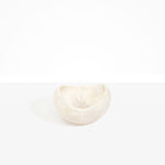 Dinosaur Designs Medium Beetle Bowl in Chalk Swirl Colour resin