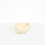 Dinosaur Designs Medium Beetle Bowl in Cream Colour resin.