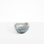 Dinosaur Designs Medium Beetle Bowl in Slate Colour resin.